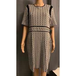 NWT Gabby Skye dress. Size 14.